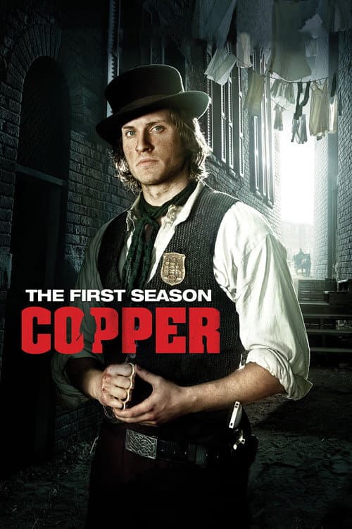 Affiche de Saison 1
