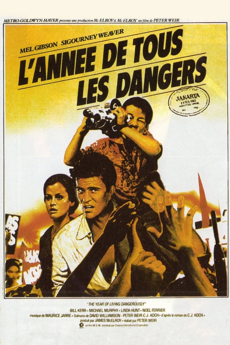 Affiche de L'Année de tous les dangers