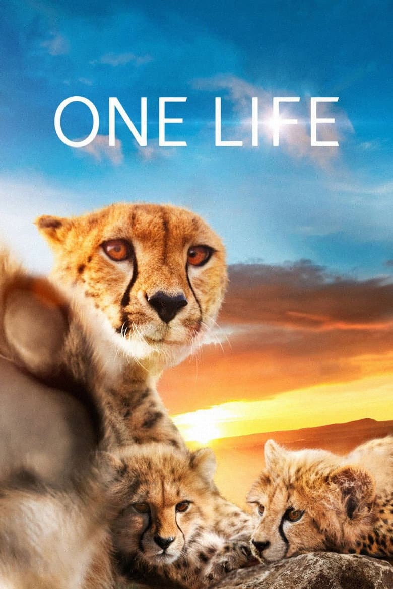 Affiche de One Life