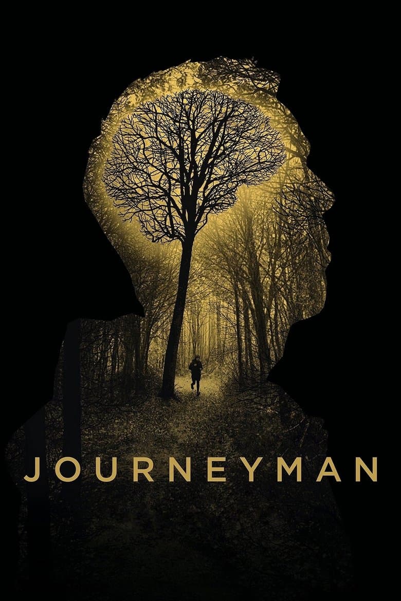 Affiche de Journeyman