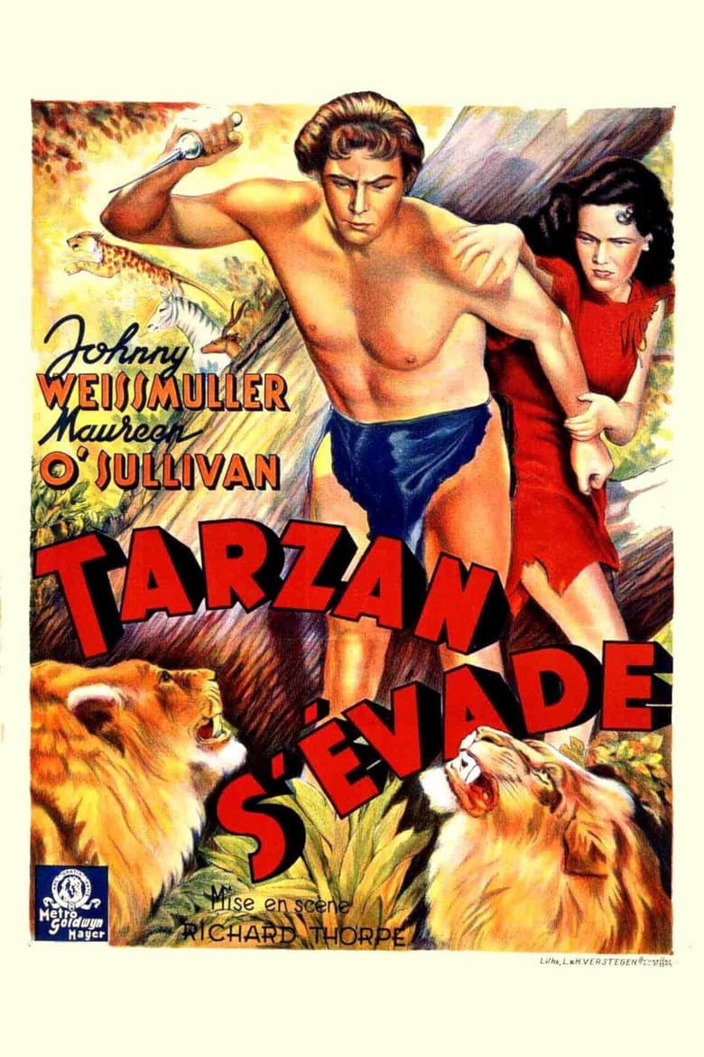 Affiche de Tarzan s'évade