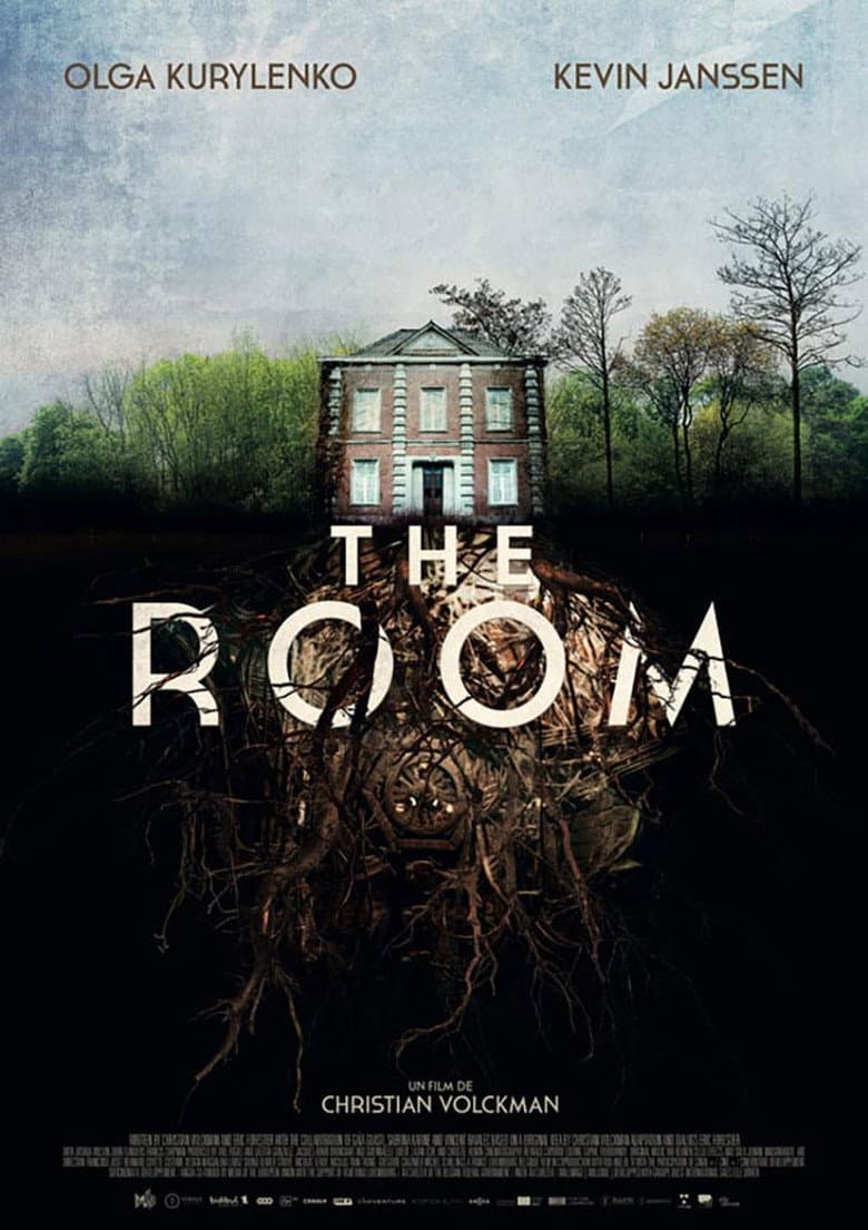 Affiche de The Room