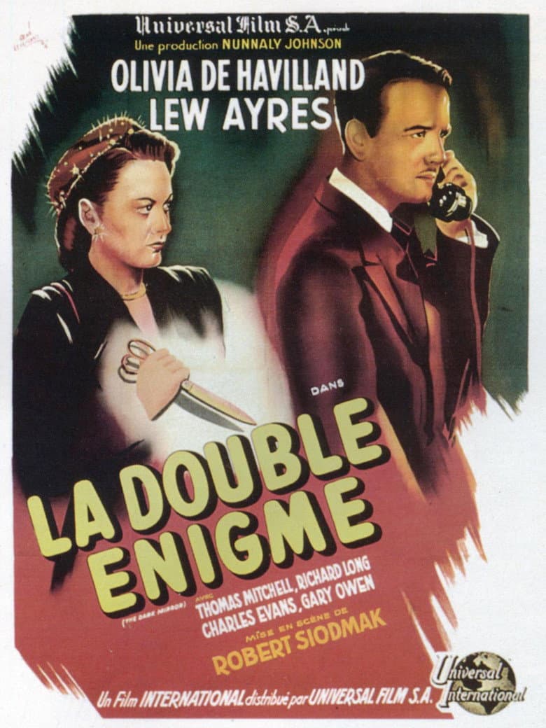 Affiche de La Double Énigme