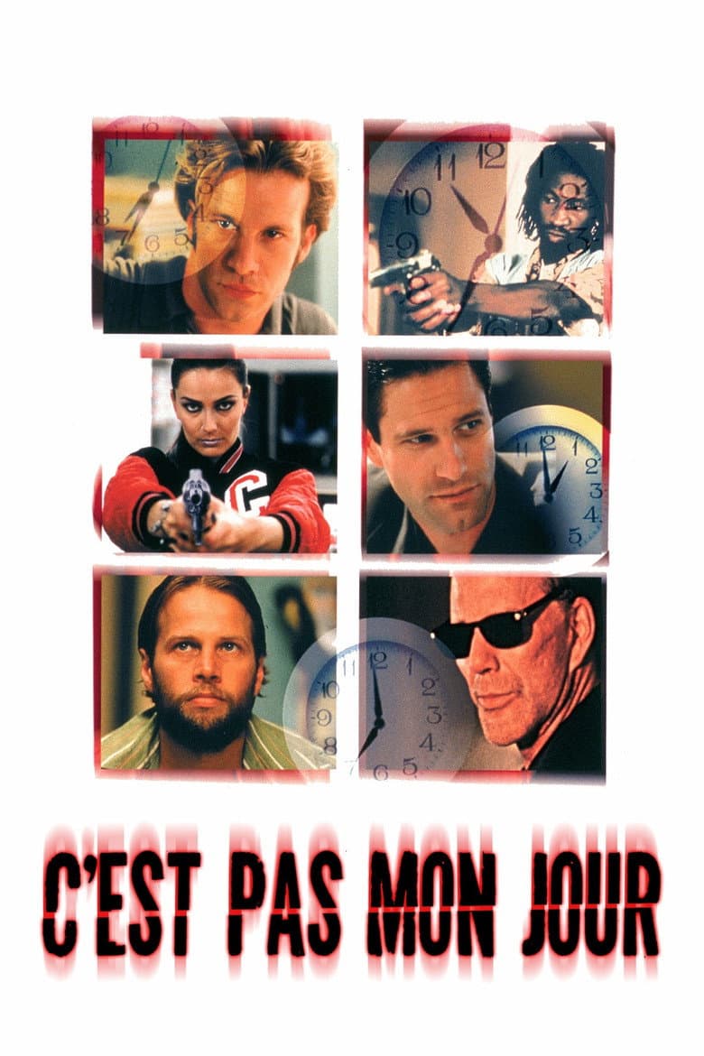 Affiche de C'est pas mon jour