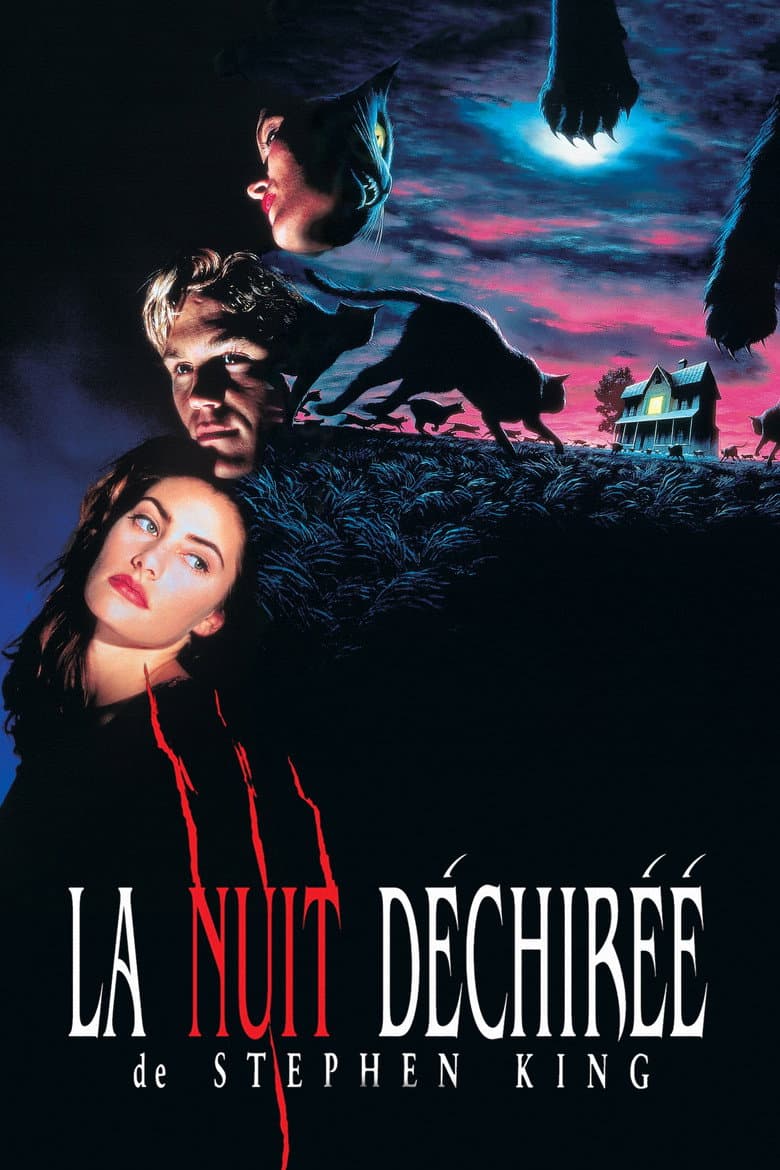 Affiche de La Nuit déchirée