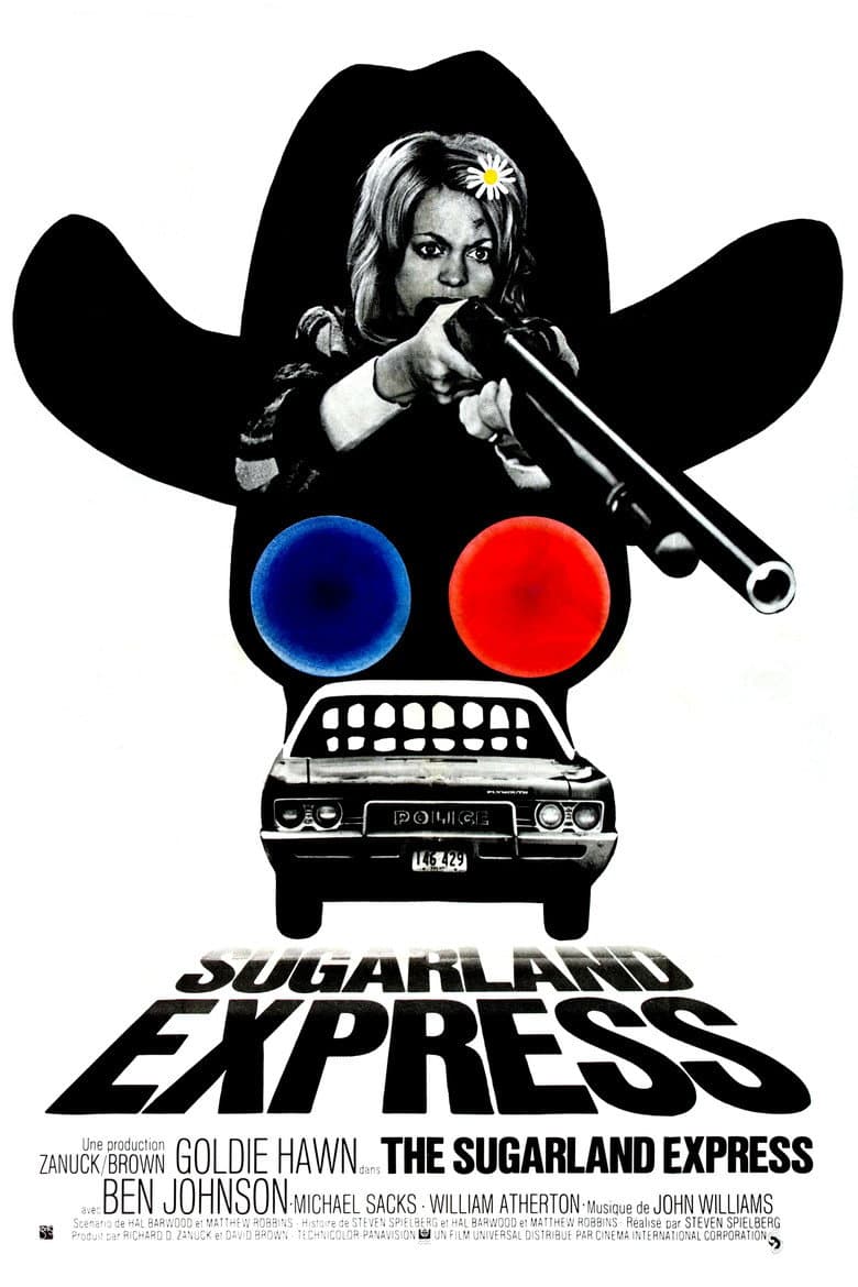 Affiche de Sugarland Express