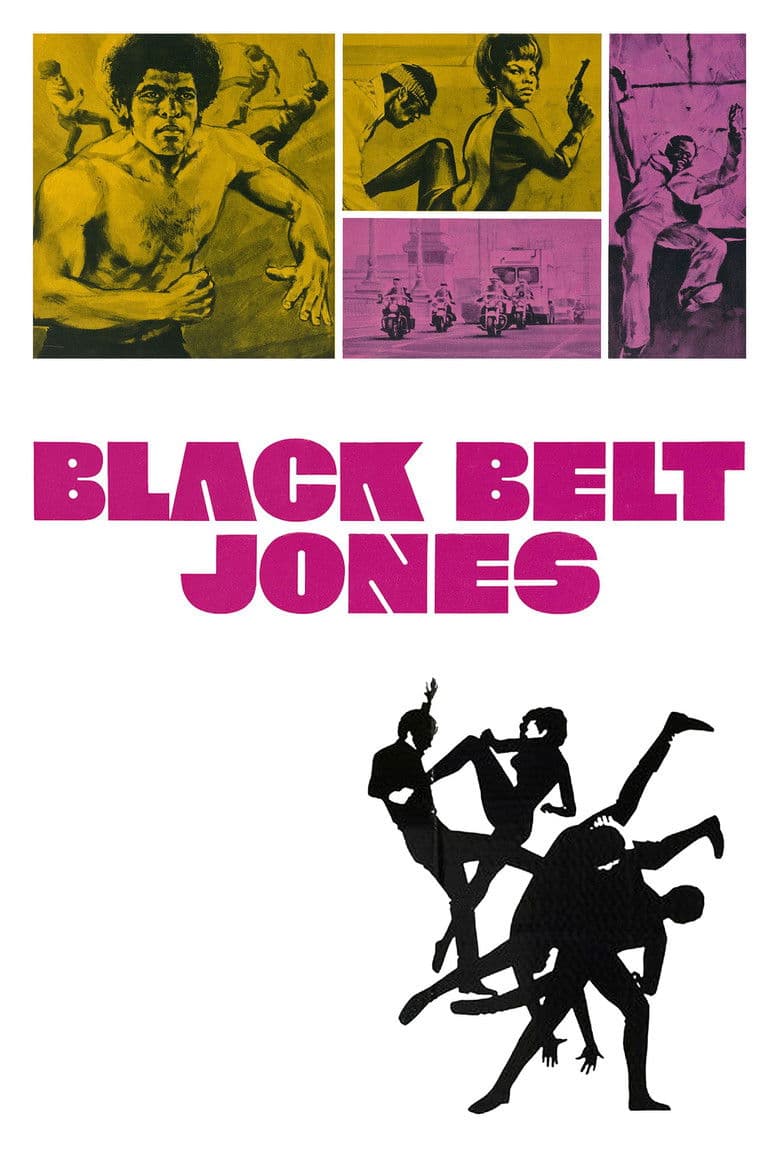 Affiche de La Ceinture noire