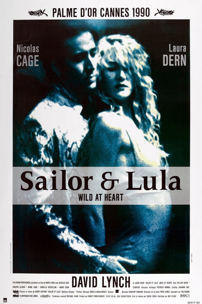 Affiche de Sailor et Lula