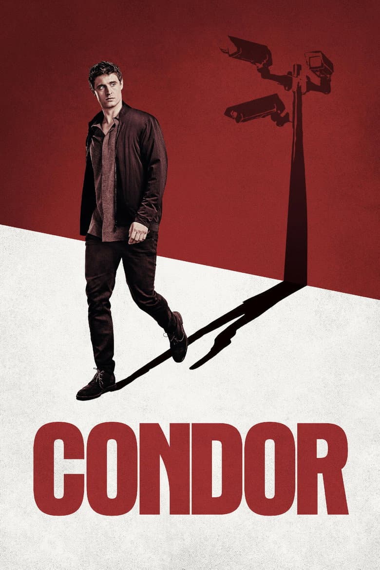 Affiche de Condor